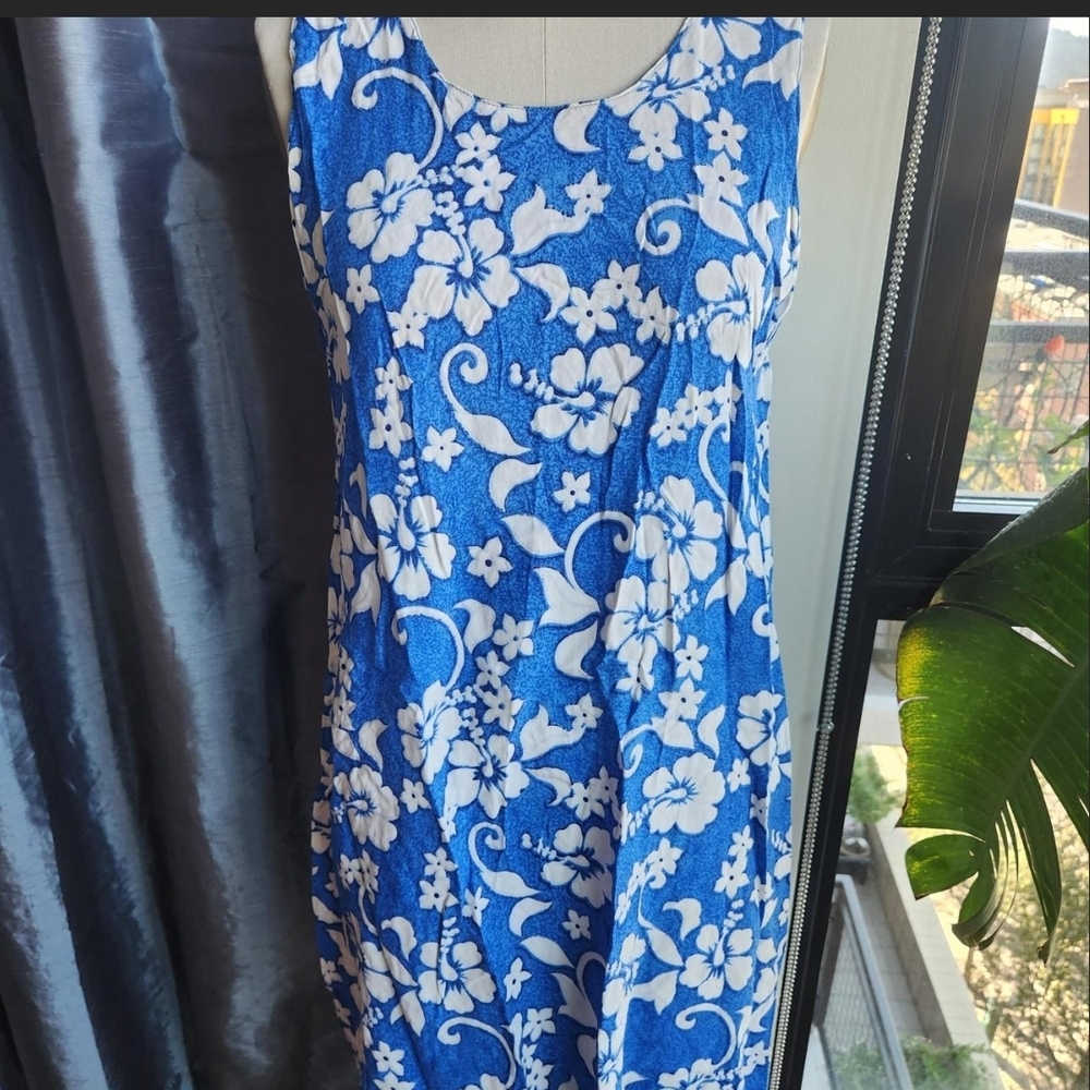 Ingear Blue and White Floral Dress